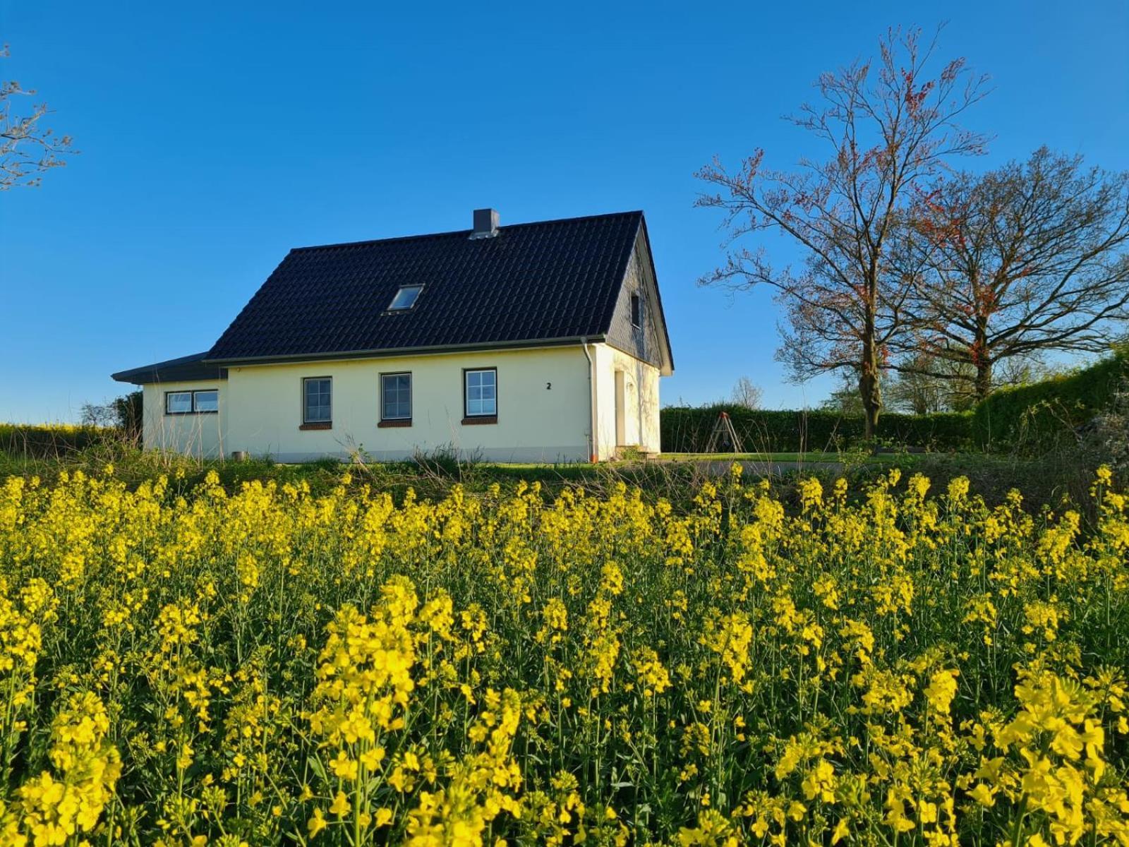 Ferienhaus Loimoos Schnarup-Thumby Exterior photo